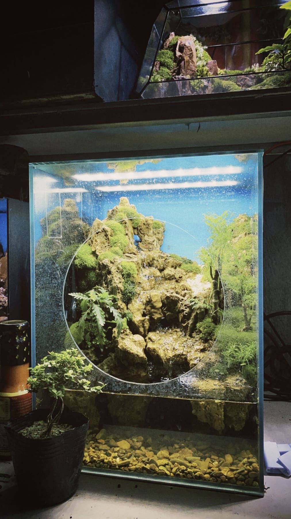 Nano-aquarium vertical composé d'une montagne de roches couvertes de mousse