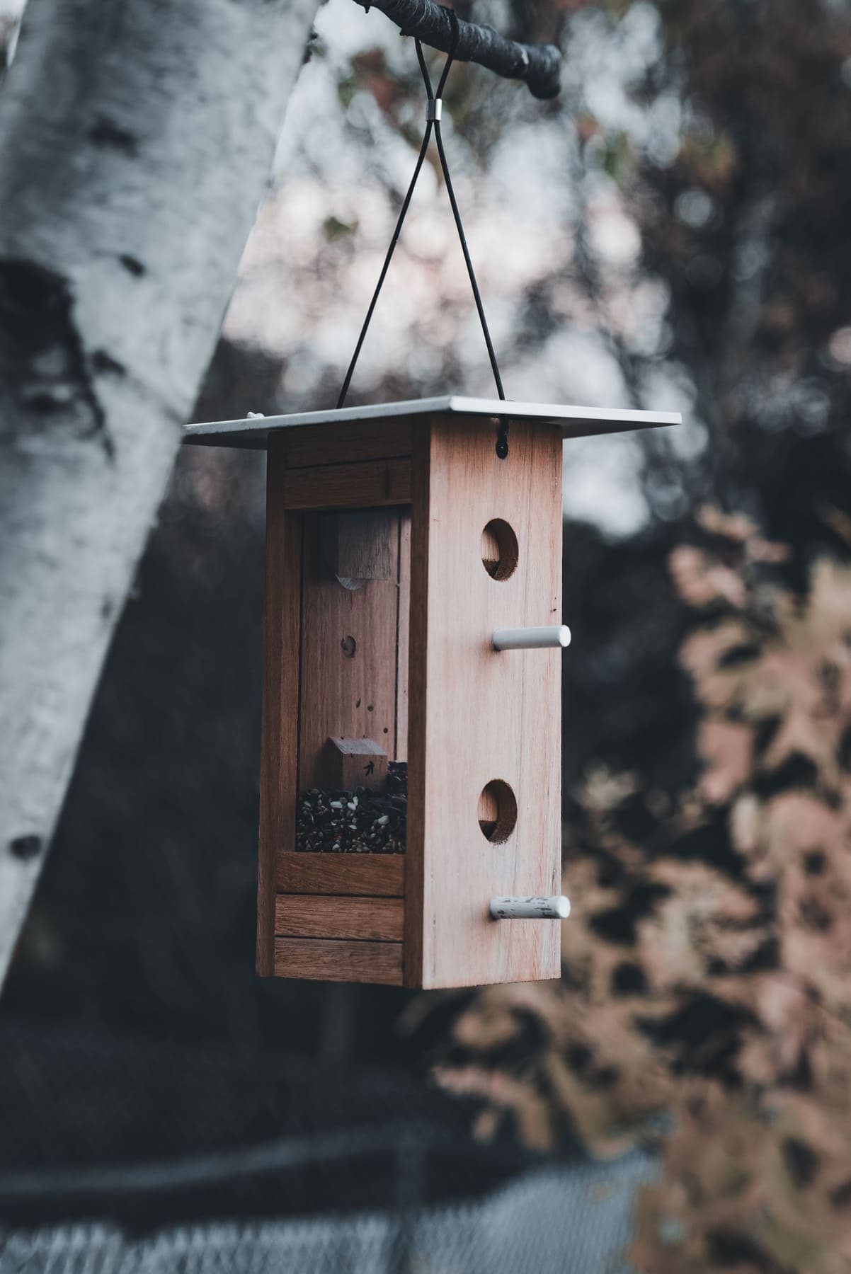 Mangeoire en bois à silo sur un arbre