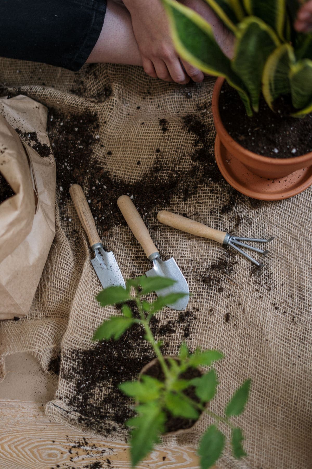 Petits outils de jardin posés sur toile de jute