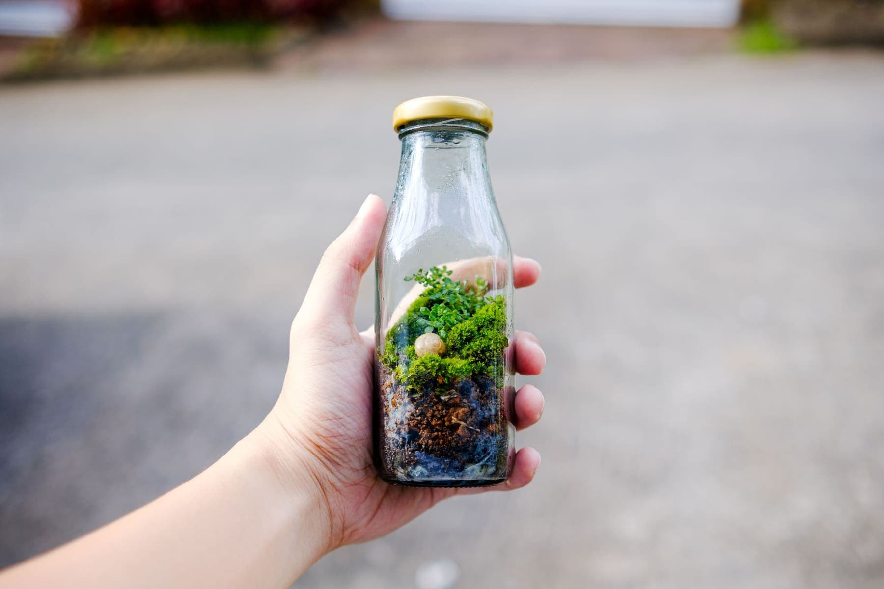 Main tenant un mini terrarium en bouteille