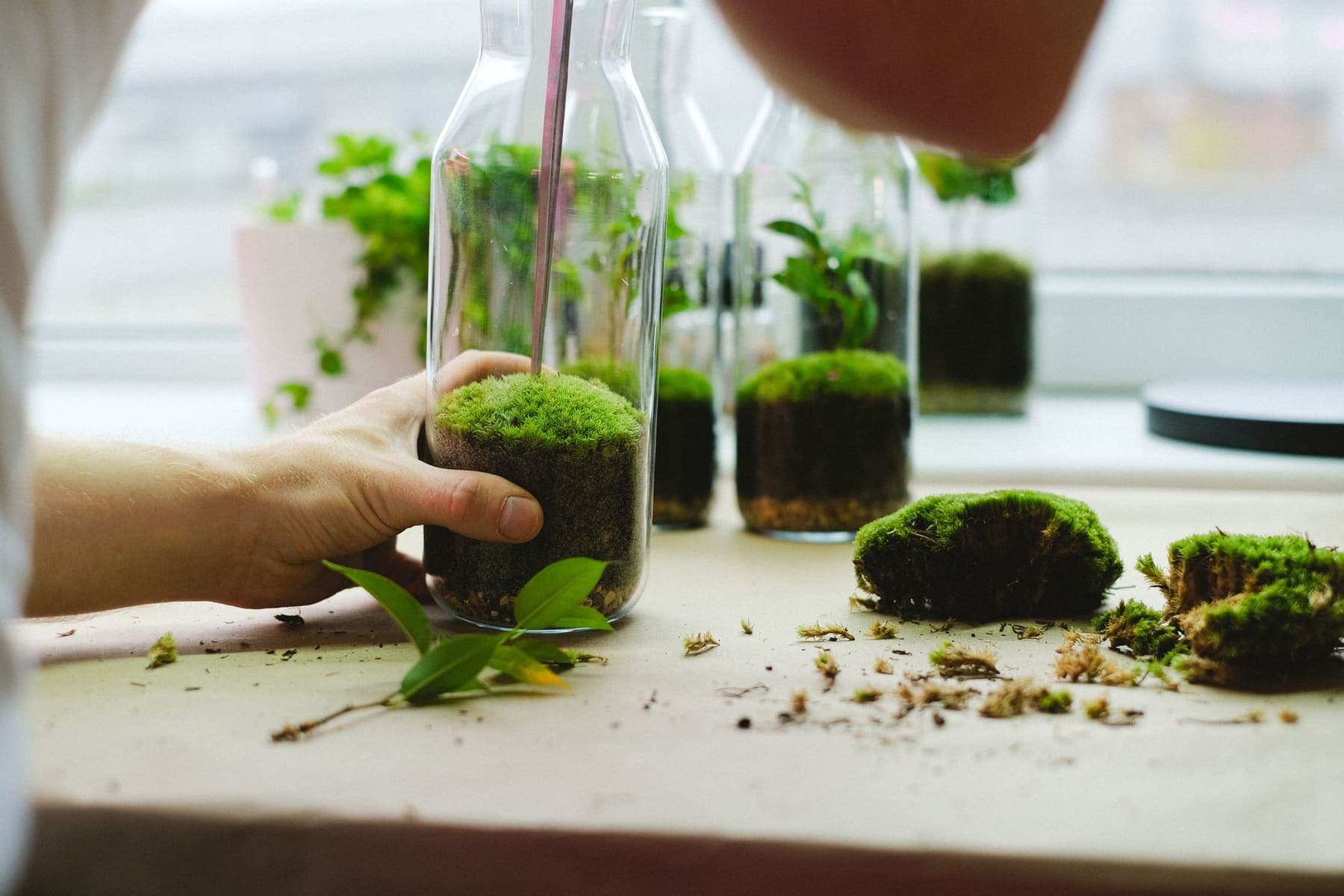 Main posant une bouteille-terrarium de mousse sur la table