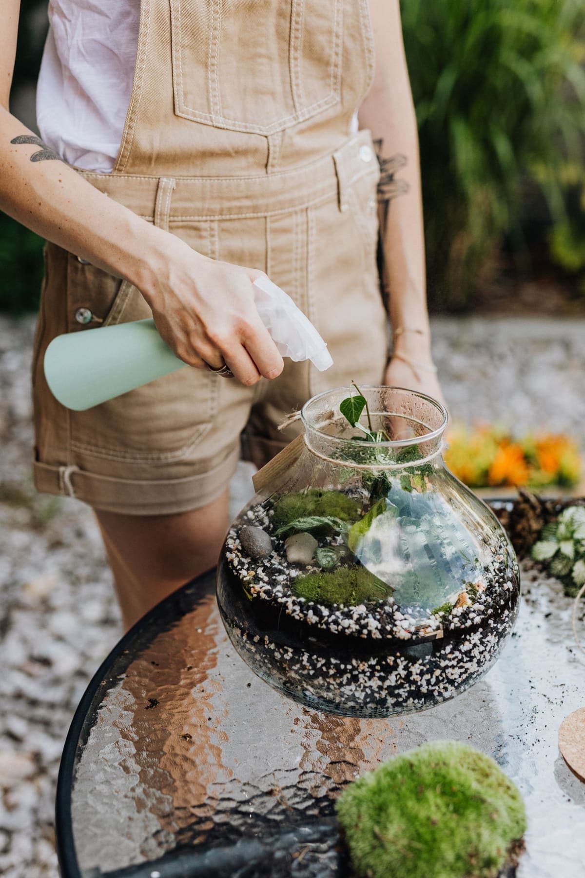 Brumisation d'un terrarium ouvert au pulvérisateur