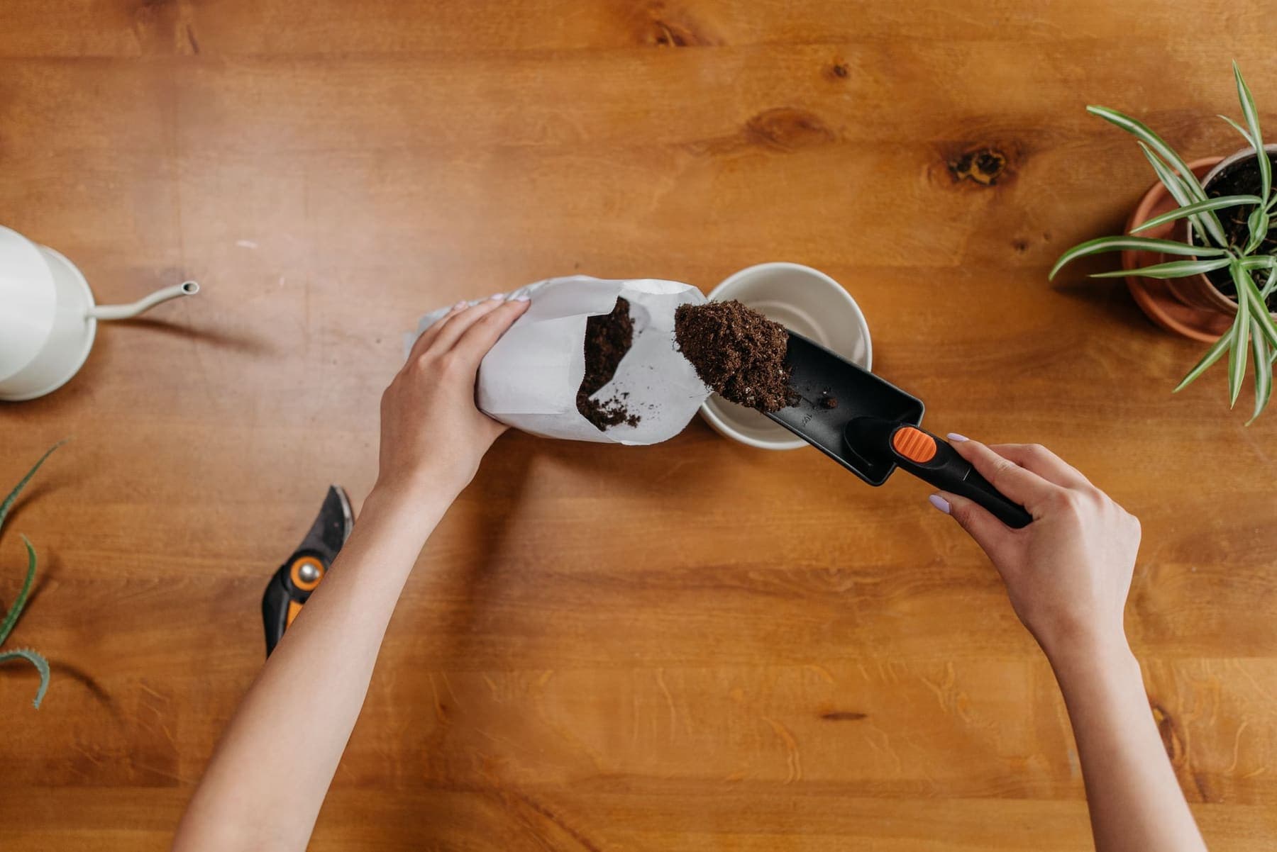 Rempotage sur une table en bois