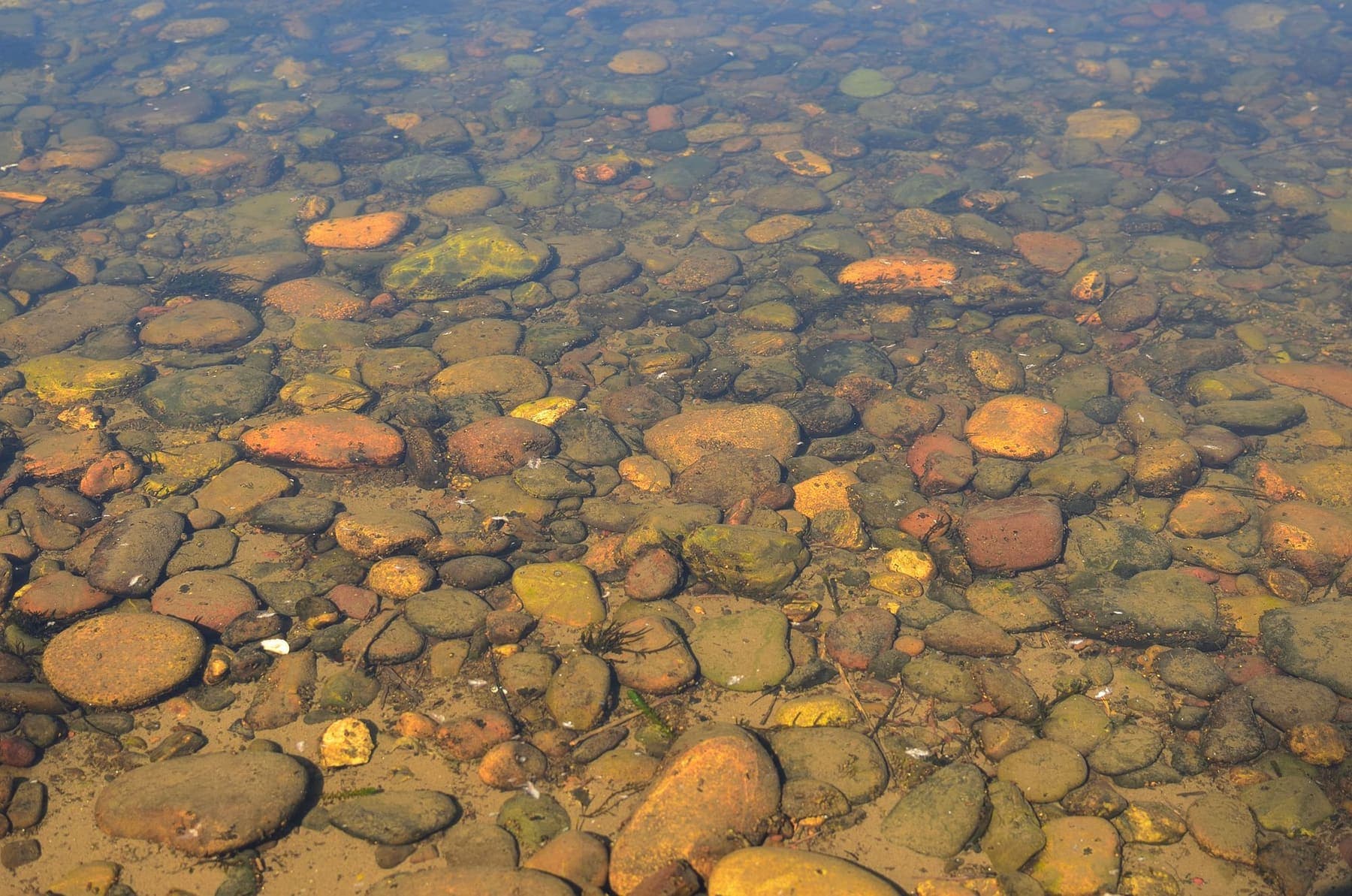 Galets de rivière vus à travers une eau claire