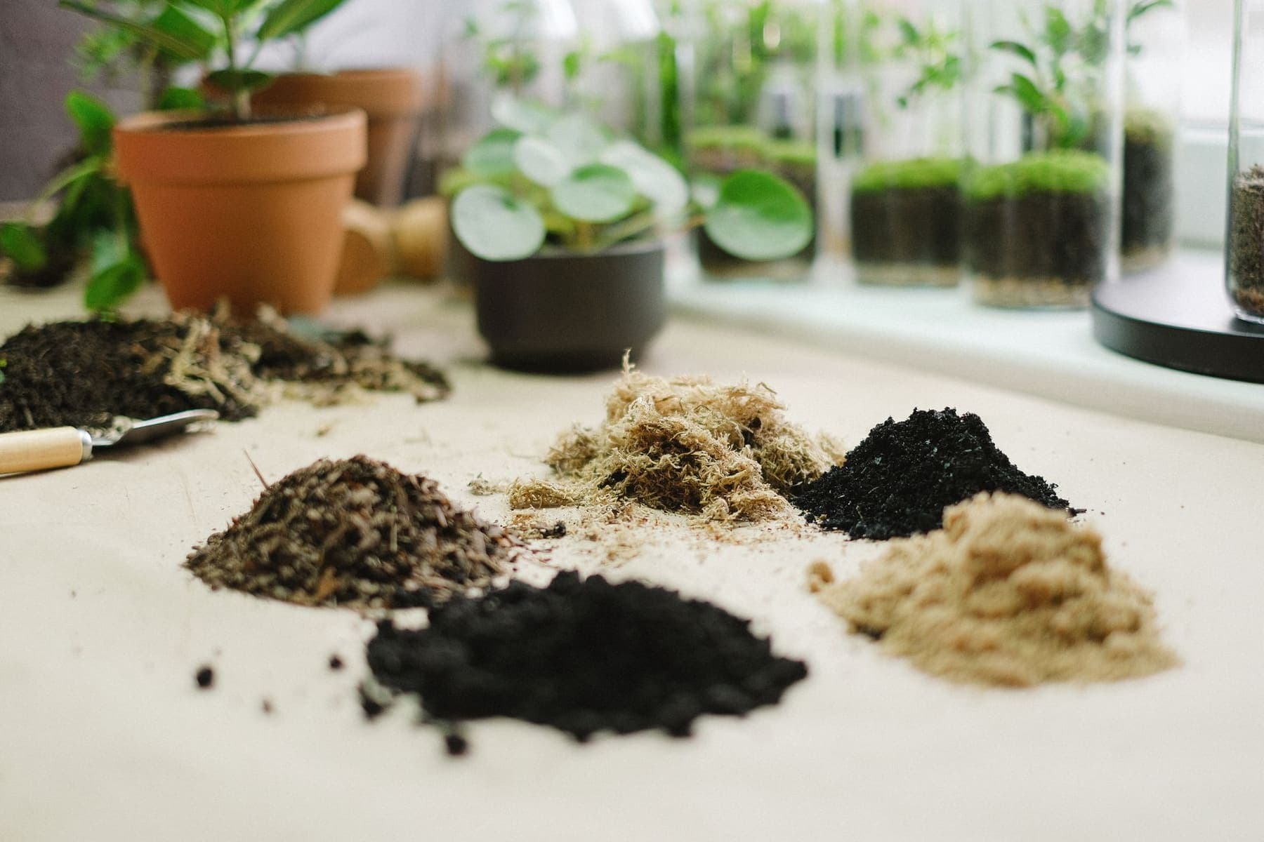 Substrats en tas sur une table : terreau, fibre de coco, sable