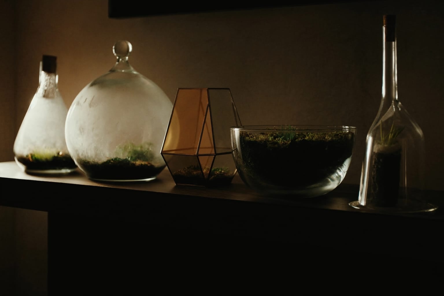 Cinq terrariums de formes différentes alignés sur une étagère en bois : bouteille, bocal, coupe basse, structure géométrique et cloche