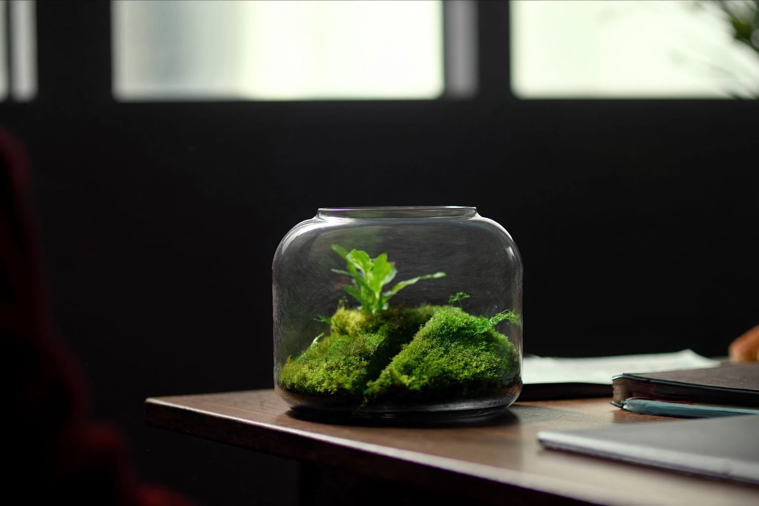 Petit terrarium fermé de mousse et de plantes tropicales posé sur un bureau en bois, à côté d'un carnet