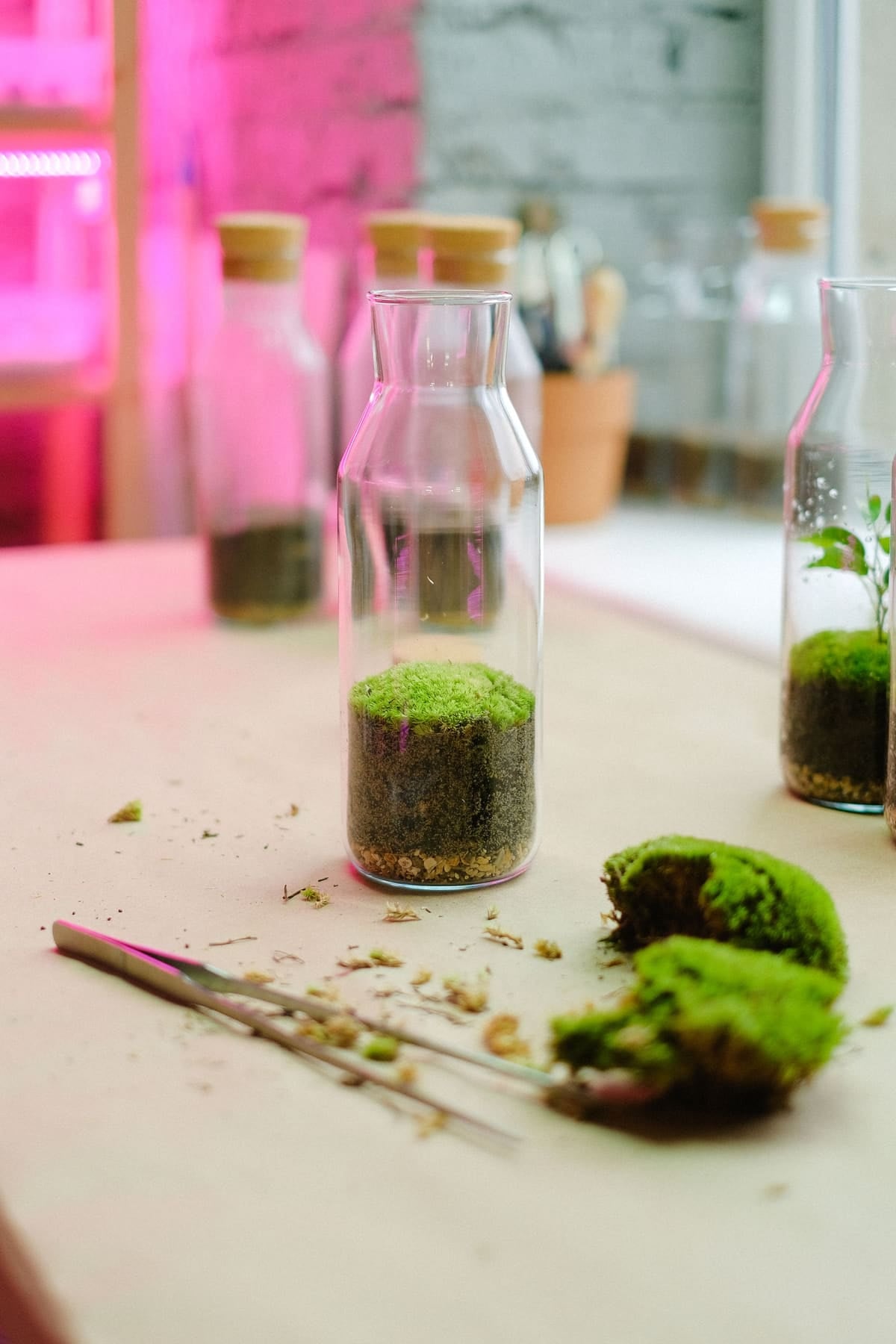 Bouteilles de verre garnies de mousse sur un plan de travail