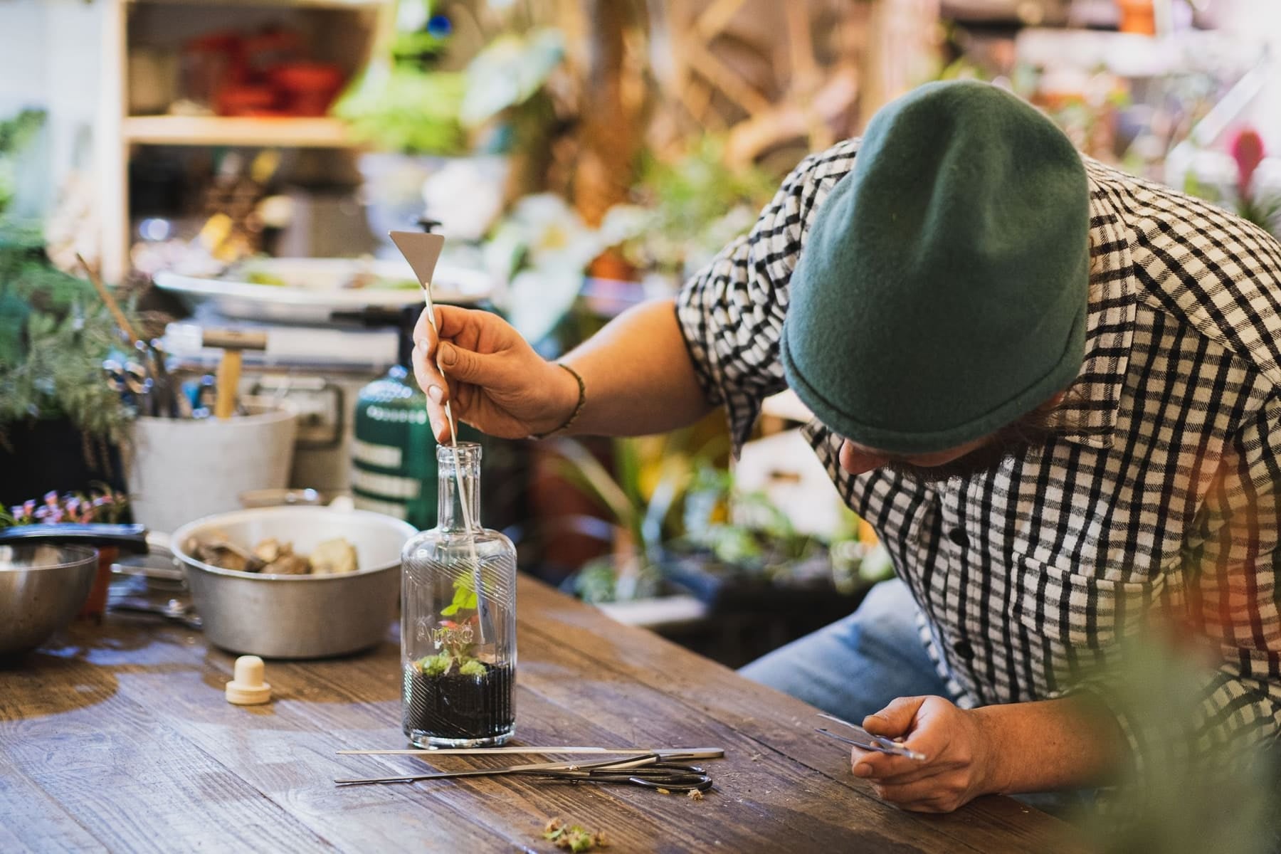 Atelier : montage d'un terrarium en bouteille à la pince