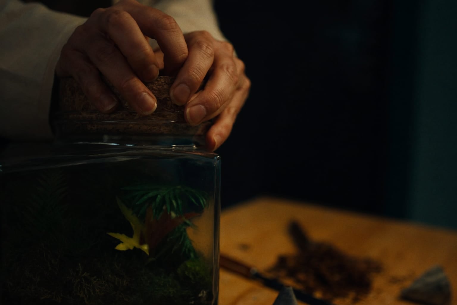 Mains refermant un bocal-terrarium avec un bouchon de liège sur un établi en bois, substrat et outils à côté