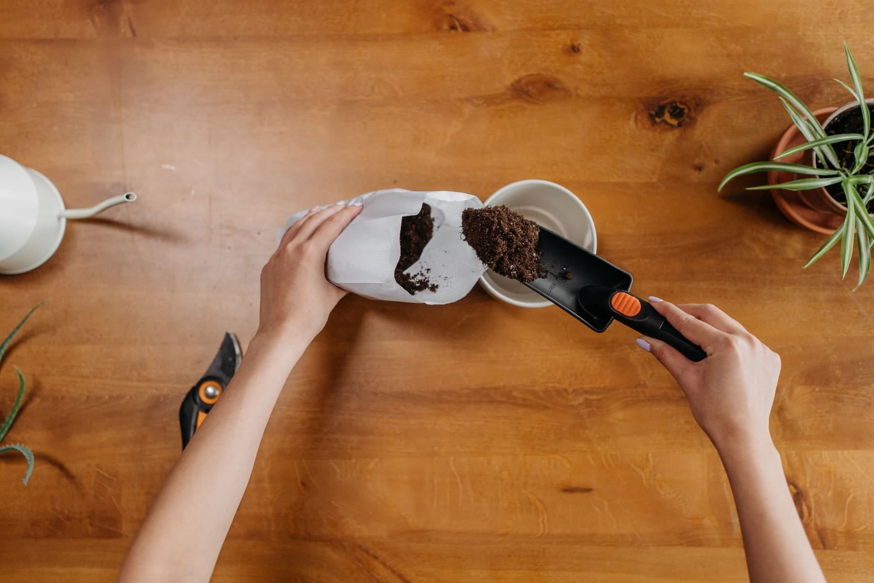 Rempotage sur une table en bois