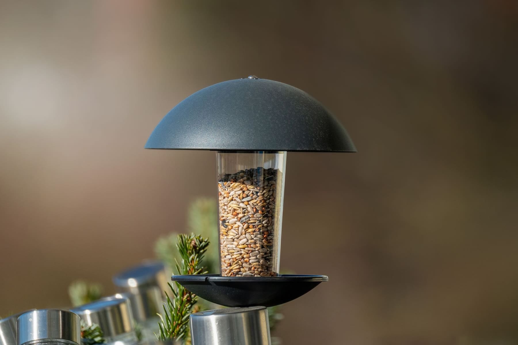 Distributeur de graines design au jardin