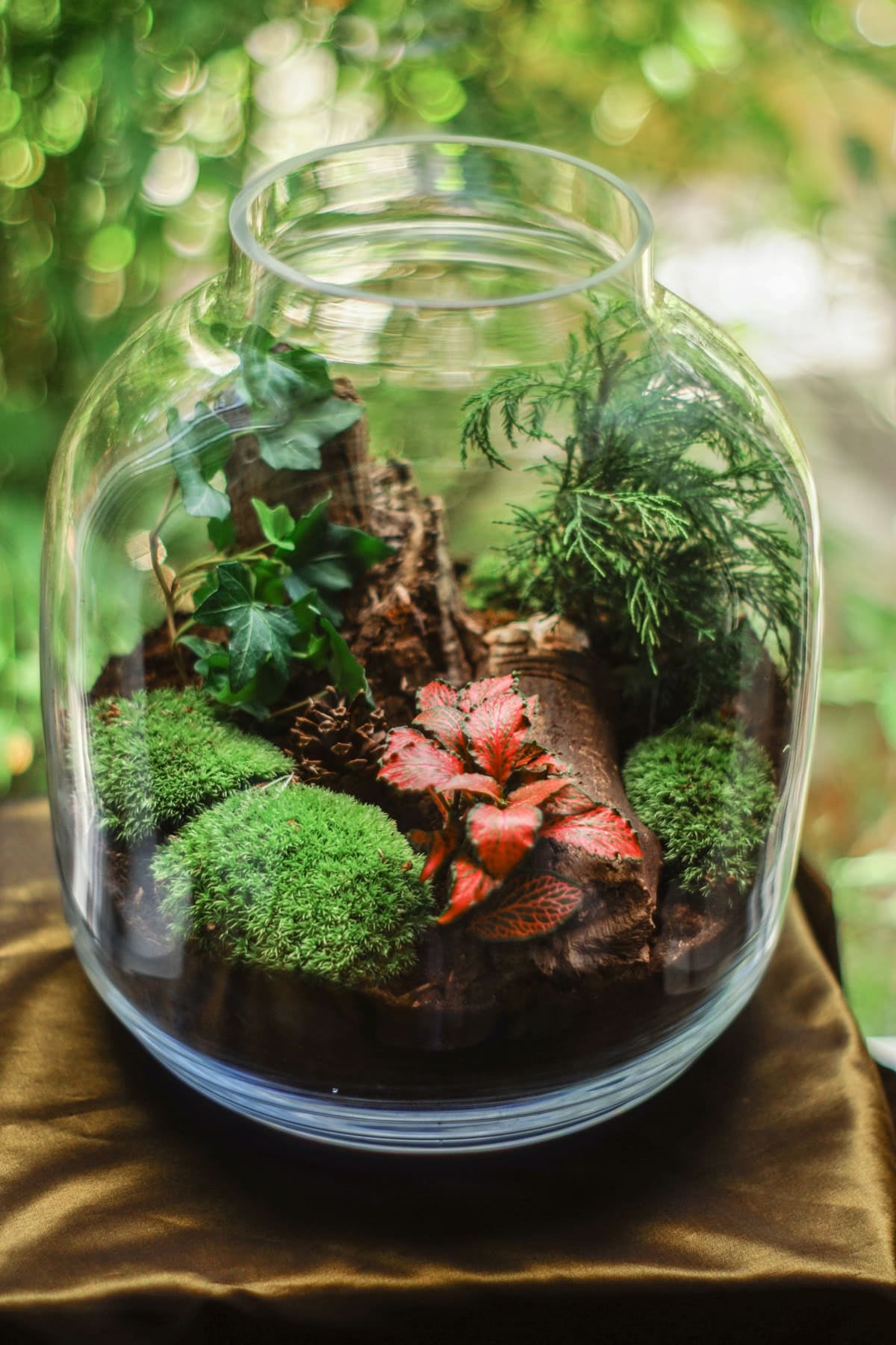 Terrarium fermé avec coussins de mousse, fittonia rouge et bois